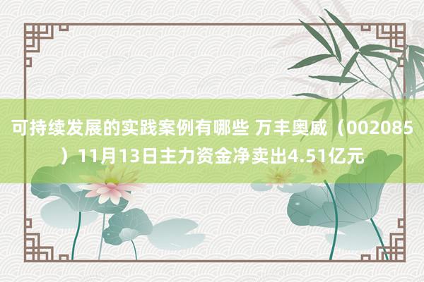 可持续发展的实践案例有哪些 万丰奥威（002085）11月13日主力资金净卖出4.51亿元