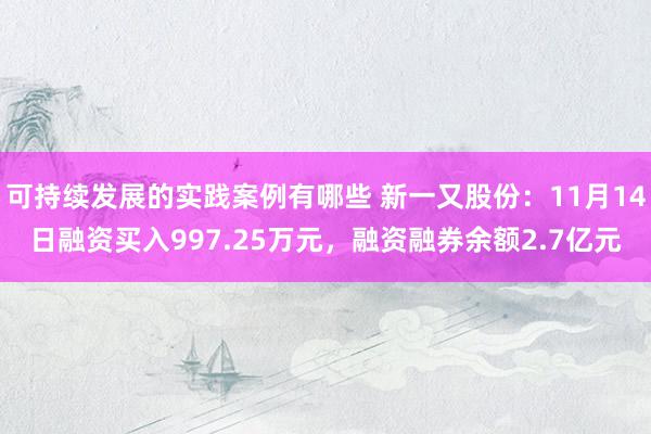 可持续发展的实践案例有哪些 新一又股份：11月14日融资买入997.25万元，融资融券余额2.7亿元