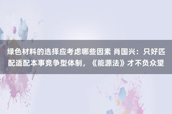 绿色材料的选择应考虑哪些因素 肖国兴：只好匹配适配本事竞争型体制，《能源法》才不负众望