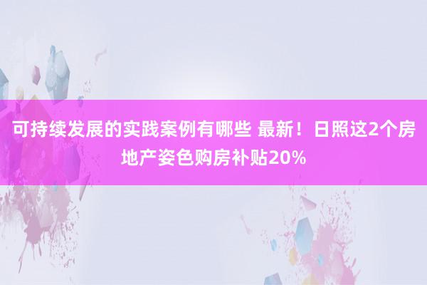 可持续发展的实践案例有哪些 最新！日照这2个房地产姿色购房补贴20%