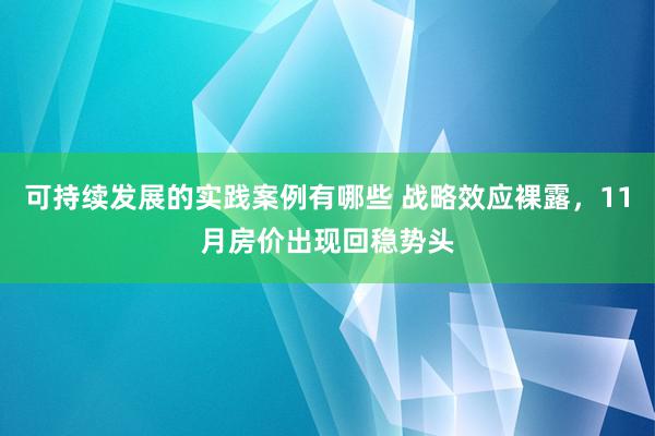 可持续发展的实践案例有哪些 战略效应裸露，11月房价出现回稳势头