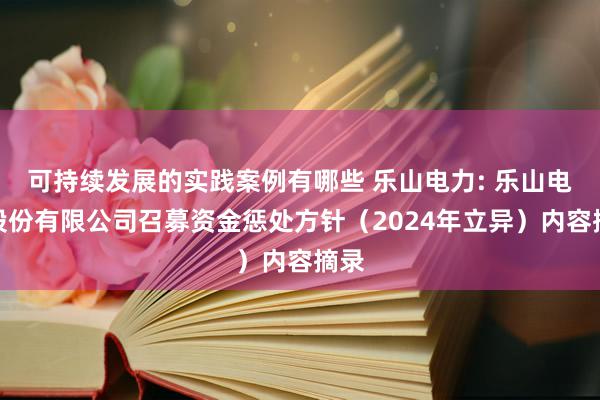 可持续发展的实践案例有哪些 乐山电力: 乐山电力股份有限公司召募资金惩处方针（2024年立异）内容摘录