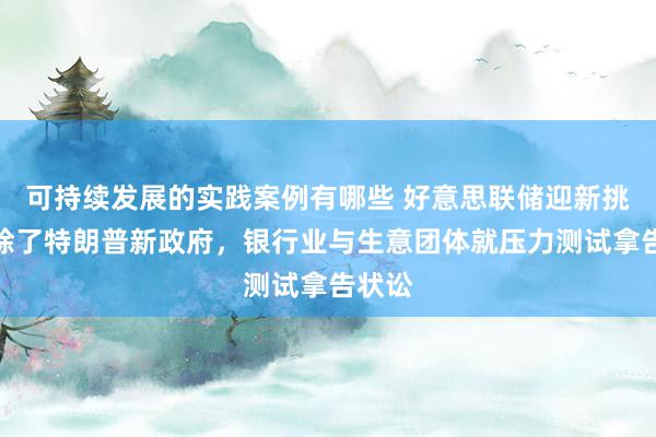 可持续发展的实践案例有哪些 好意思联储迎新挑战，除了特朗普新政府，银行业与生意团体就压力测试拿告状讼