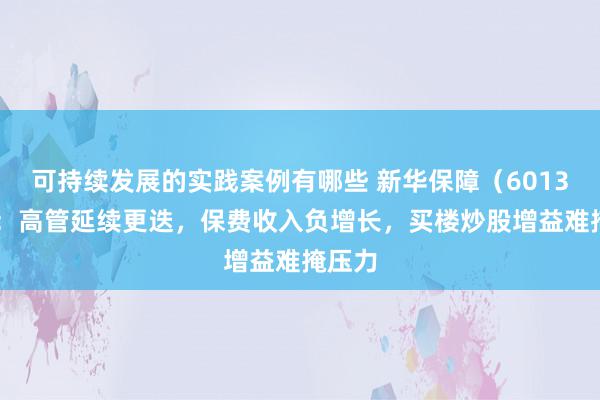 可持续发展的实践案例有哪些 新华保障（601336）：高管延续更迭，保费收入负增长，买楼炒股增益难掩压力