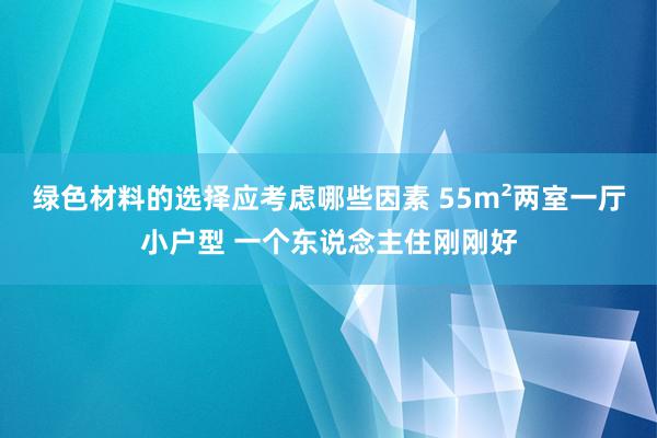 绿色材料的选择应考虑哪些因素 55m²两室一厅小户型 一个东说念主住刚刚好