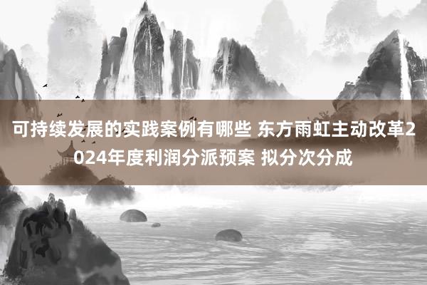 可持续发展的实践案例有哪些 东方雨虹主动改革2024年度利润分派预案 拟分次分成